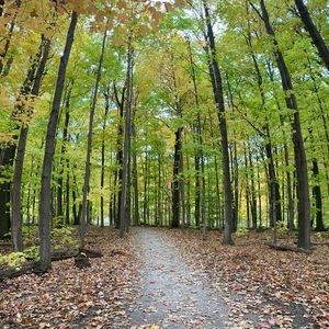 Meet your Posher, Izzy